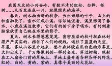 关于景色的作文：故乡的樱林_900字