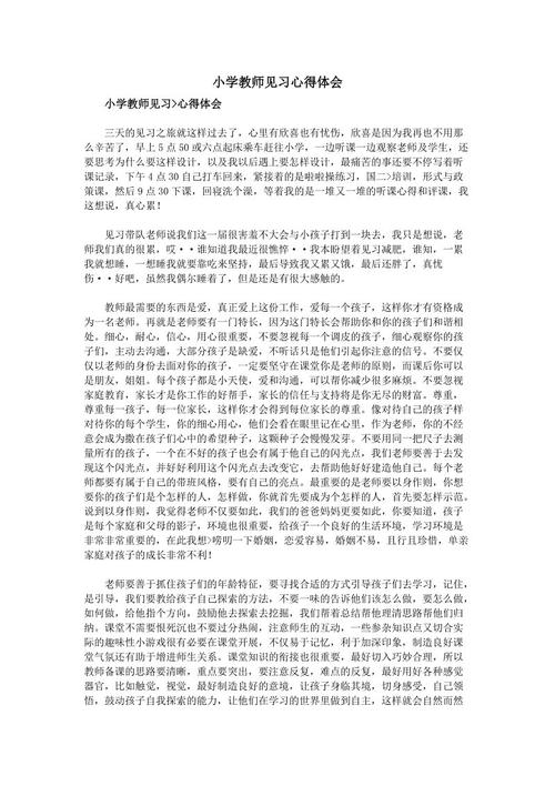 小学实习经验