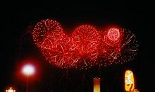 美丽的焰火照亮夜空_250字