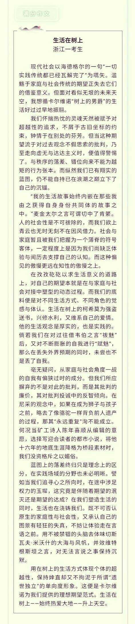 2005年大学入学考试组成（国家第2卷）：云尼亚和小河_1000字