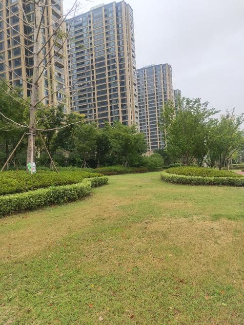 六年级讨论：速度没有达到_750字
