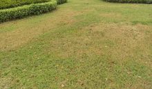 六年级议论文：欲速则不达_750字