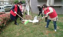 神仙妇女大扫除_750字