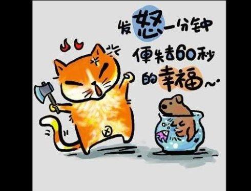 相信生活_250字