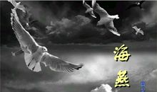 暴风雨中的勇敢者－－读《海燕》有感_600字