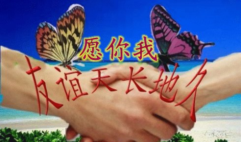真正的爱生活_1200字