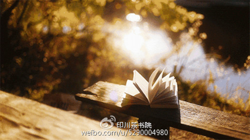 茶碳·（下面）休息生活等待地平线_600字
