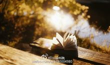 茶碳·（下）余生用来和你浪迹天涯_600字