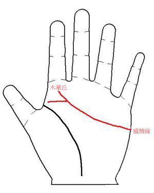 公平街头白线叉_300字