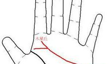 缘分街头白线分叉_300字