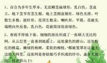 感恩优美段落：陪我一辈子的女人段落_800字