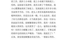 粗心不是一件小事_450字