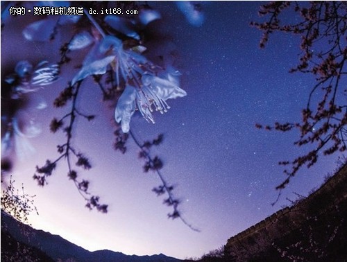 在深夜，我坐在一个广阔的星空上，听着绿色的青蛙，看着灿烂的星空......