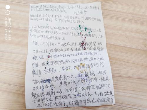 继续写“福克斯胡伟”_250字
