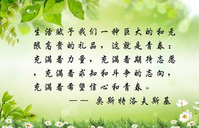 来自友谊的单词：_900字