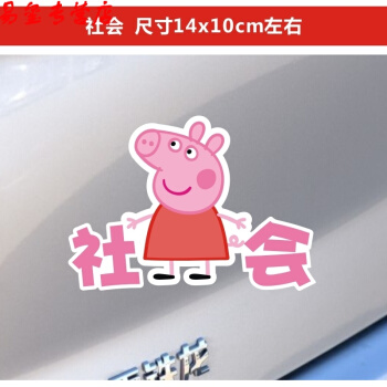 小仙女_350字