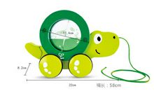 梦想花开之乌龟拉车_3000字