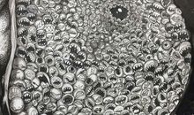 七宗罪—饕餮_500字