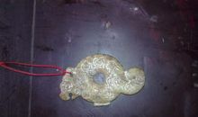 梦想花开之乌龟拉车（续上）_2000字