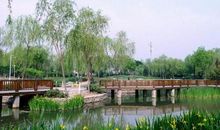 玉湖公园游记_600字