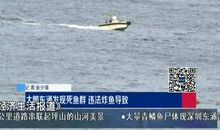 只有死鱼才顺流而下_1500字