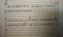 玩_200字
