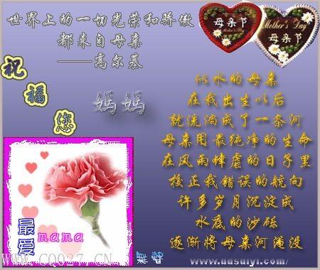 触摸母爱的故事：生命之源