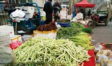 [2020年高考征文初中组]会逢知己于今朝（点评）_2000字