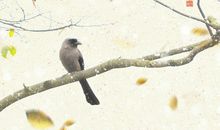 风雪吟（其二）