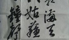 《净叶不沉，凉月满天》读后感_1500字
