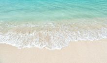 总有一次远航看不到海洋_800字