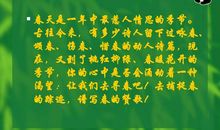 春天来了作文：寻觅春天的踪迹_1200字