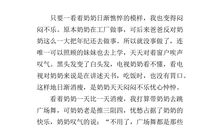 关于奶奶的作文：“吝啬”的奶奶_800字