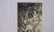 一张旧照片_200字