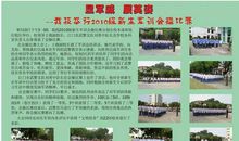 军训有感之共创未来_600字