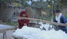 棉花田与我的奶奶_450字