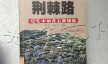 行在荆棘路上_700字