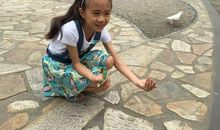 读书真让我着迷_750字