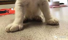 懵懂了，悔悟了_800字