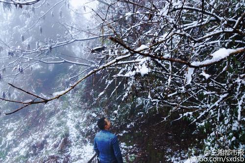 在冬天的第一雪地里令人难忘_800字