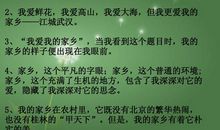 我爱阅读，更爱写作?_1500字