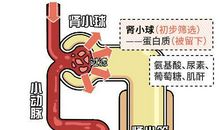 逆流的疼痛_900字