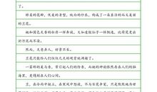 高二状物作文：含羞草_800字