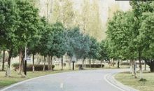 时光荏苒，转瞬已是三年_900字