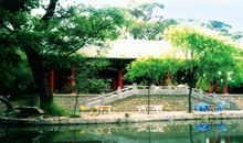 翠柳湖自拍四首