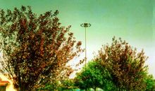 关于雨的作文：秋雨_900字