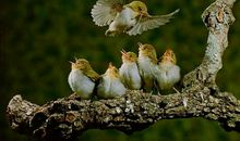 感悟家乡·感悟亲情_1200字