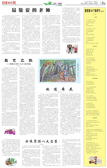 不要回头_350字
