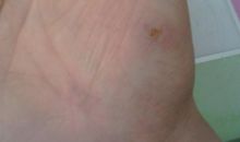 本欲乐处心归去