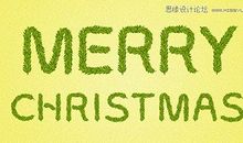 难忘的松树_350字